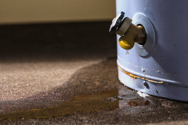 Best Mold removal after water damage  in Archbald, PA