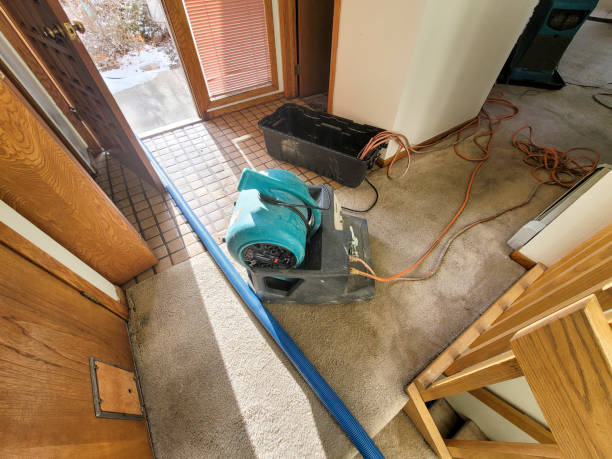 Best Carpet water damage restoration  in Archbald, PA