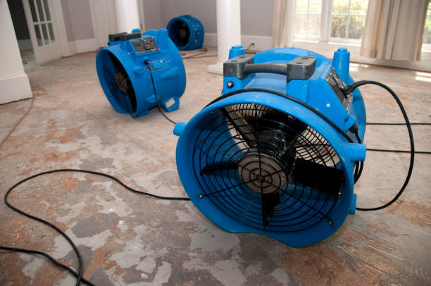 Best Residential water damage restoration  in Archbald, PA