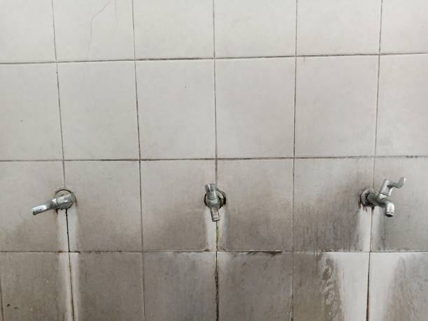 Best Emergency water damage restoration  in Archbald, PA