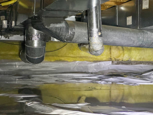 Best Water damage restoration near me  in Archbald, PA