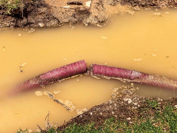 Best Water damage cleanup near me  in Archbald, PA