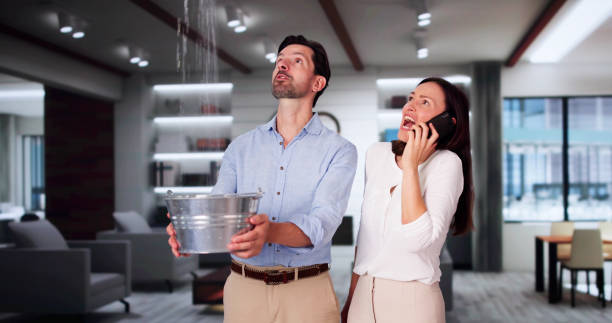 Best Water damage restoration cost  in Archbald, PA